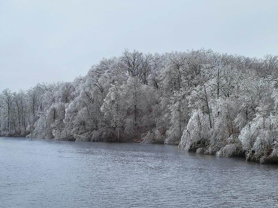 Arkansas Ice Storm 2/24/22 Photograph by Ally White