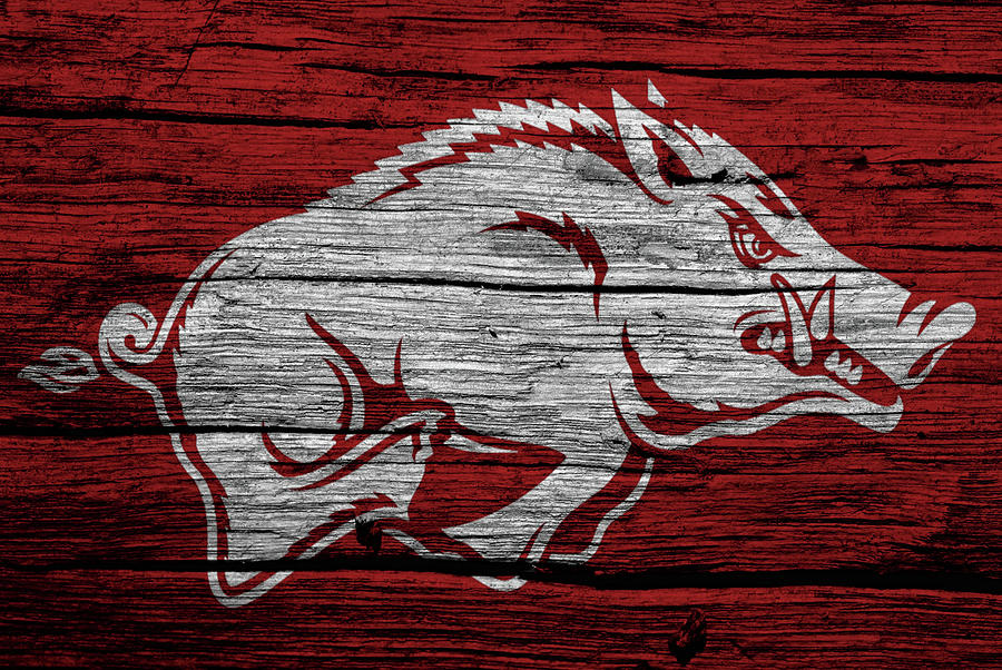 Arkansas Razorbacks Digital Art - Arkansas Razorbacks On Wood by Dan Sproul Arkansas Razorbacks Digital Art - Arkansas Razorbacks On Wood by Dan Sproul