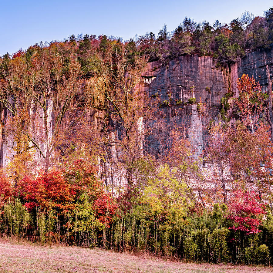 Arkansas Roark Bluff Autumn Landscape 1x1 Photograph by Gregory Ballos