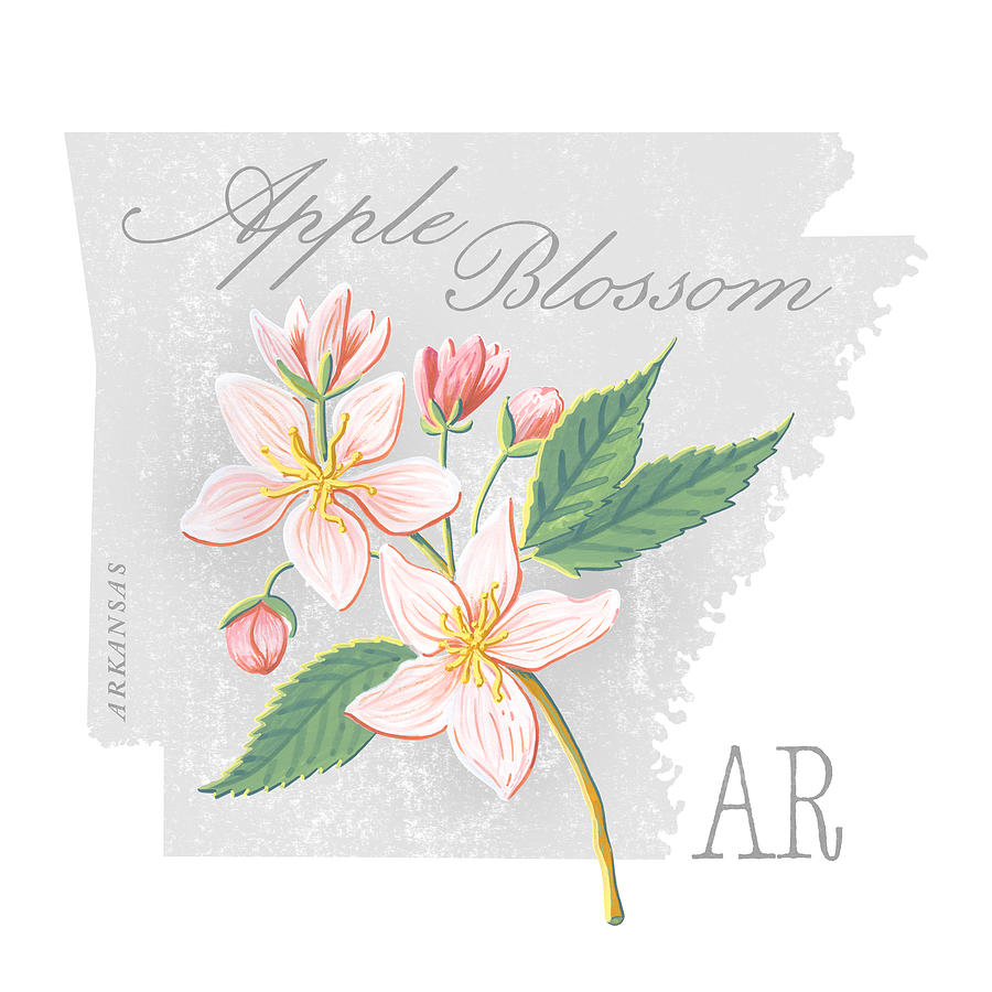 Arkansas State Flower Apple Blossom Art by Jen Montgomery Painting by Jen Montgomery