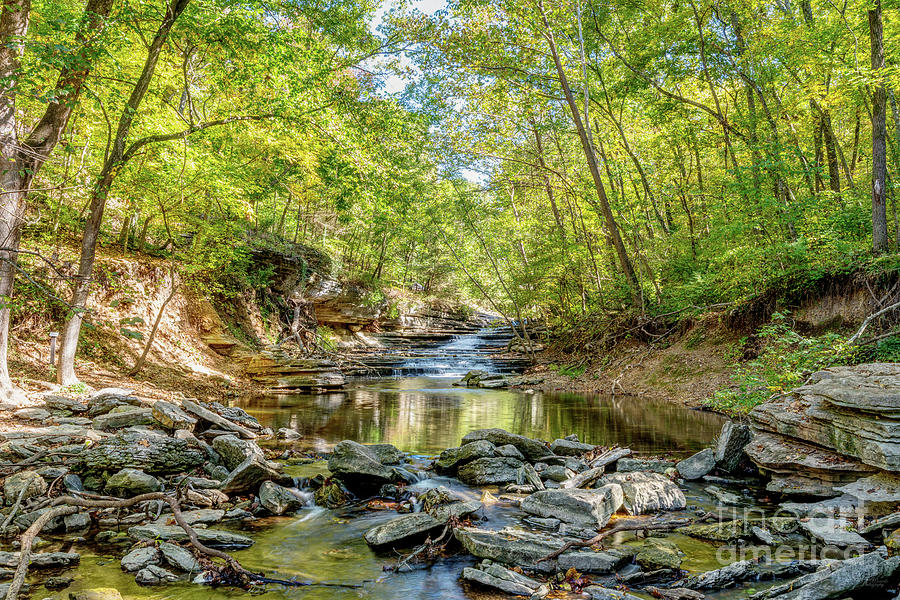 Arkansas Tanyard Creek Photograph by Jennifer White