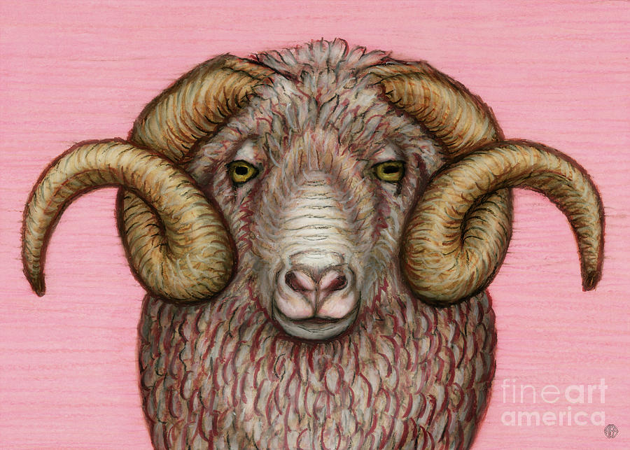 Arles Merino Ram Painting by Amy E Fraser