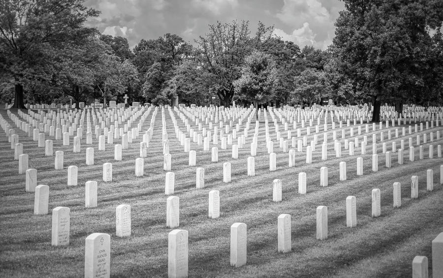 Arlington National Cemetery BW Photograph by Joan Carroll