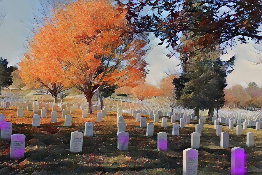 Arlington National Cemetery Photograph by Farol Tomson