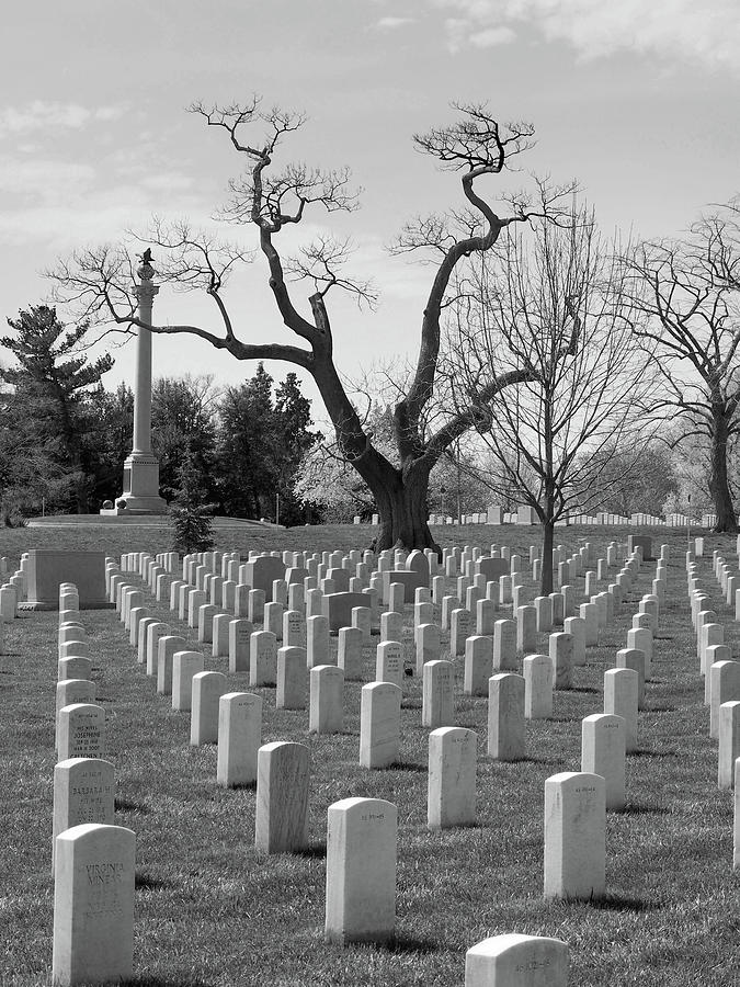Black And White Photograph - Arlington National Cemetery by Mike McGlothlen
