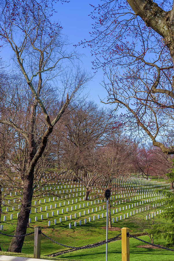 Arlington National Cemetery Overlook Photograph by Scott McGuire