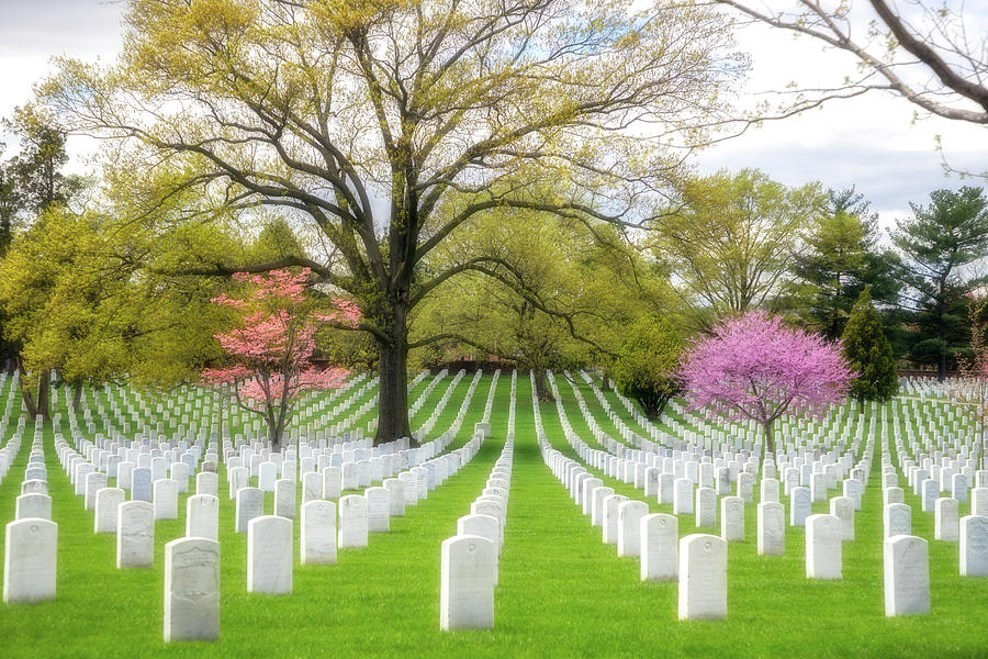 Arlington National Cemetery Spring Photograph by Robert Carter