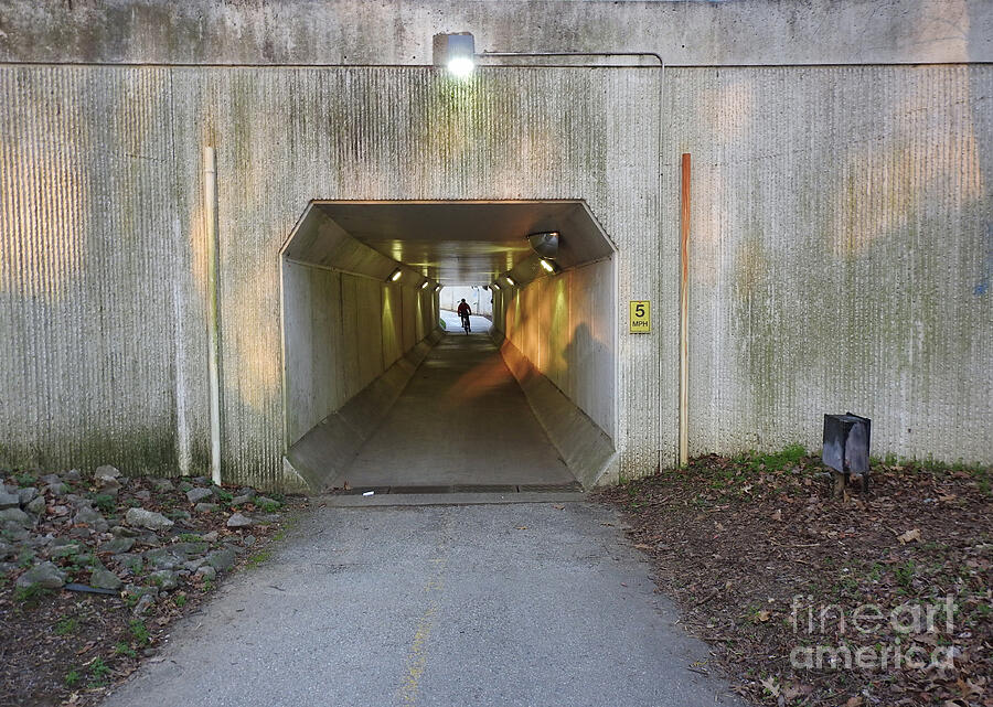 Arlington Sunlit Tunnel 5mph Bicyclist Silhouette glorijean Photograph by GJ Glorijean