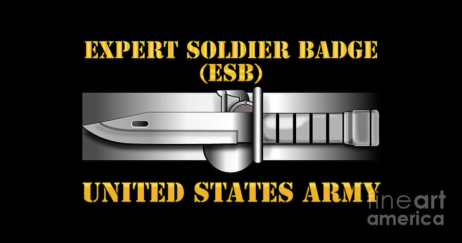 Army - Expert Soldier Badge Digital Art by Tom Adkins - Fine Art America