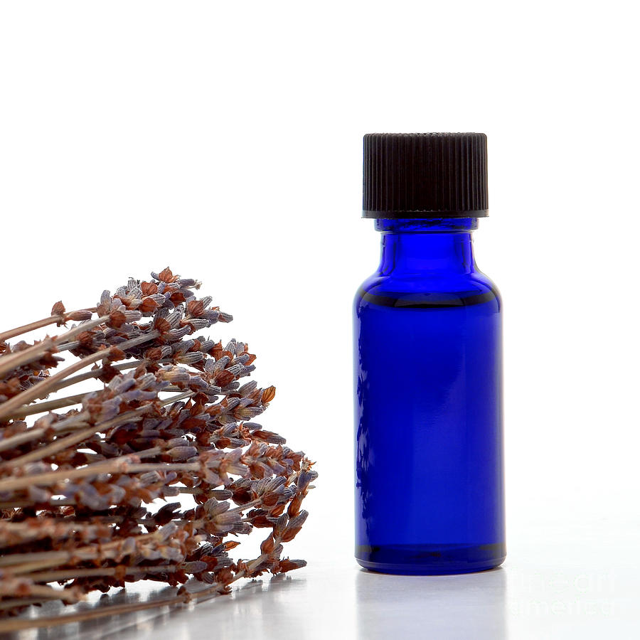 Aromatherapy Lavender Extract Essential Oil Bottle Photograph by Olivier Le Queinec
