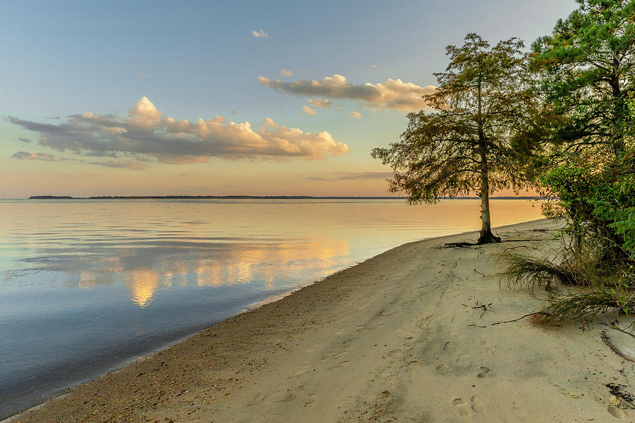 Around the Bend at Sunset Photograph by David Fountain