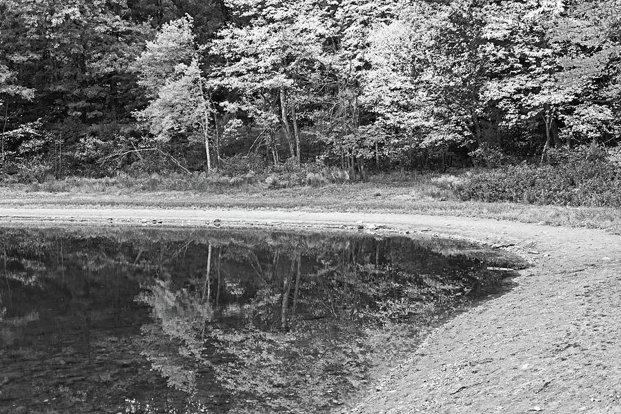 Around the Bend- Hiking Walden Pond in Autumn Black and White Photograph by Toby McGuire