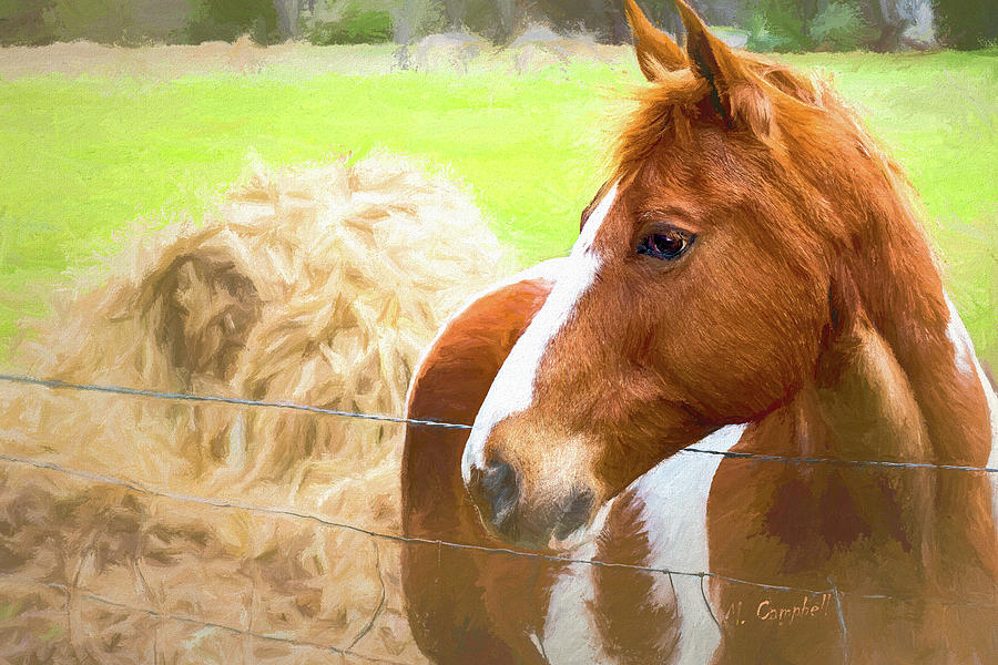 Around The Fence by Michael Campbell Around The Fence by Michael Campbell