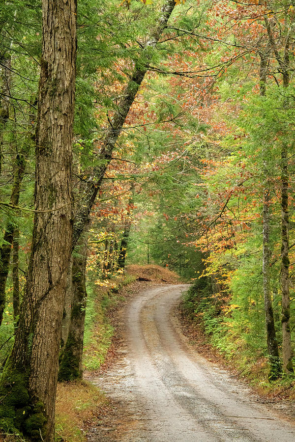Around the Next Bend, Fall in Cades Cove Photograph by Marcy Wielfaert