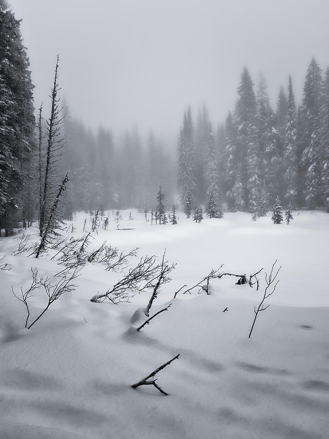 Around the Winter Lake Black and White Photograph by Allan Van Gasbeck