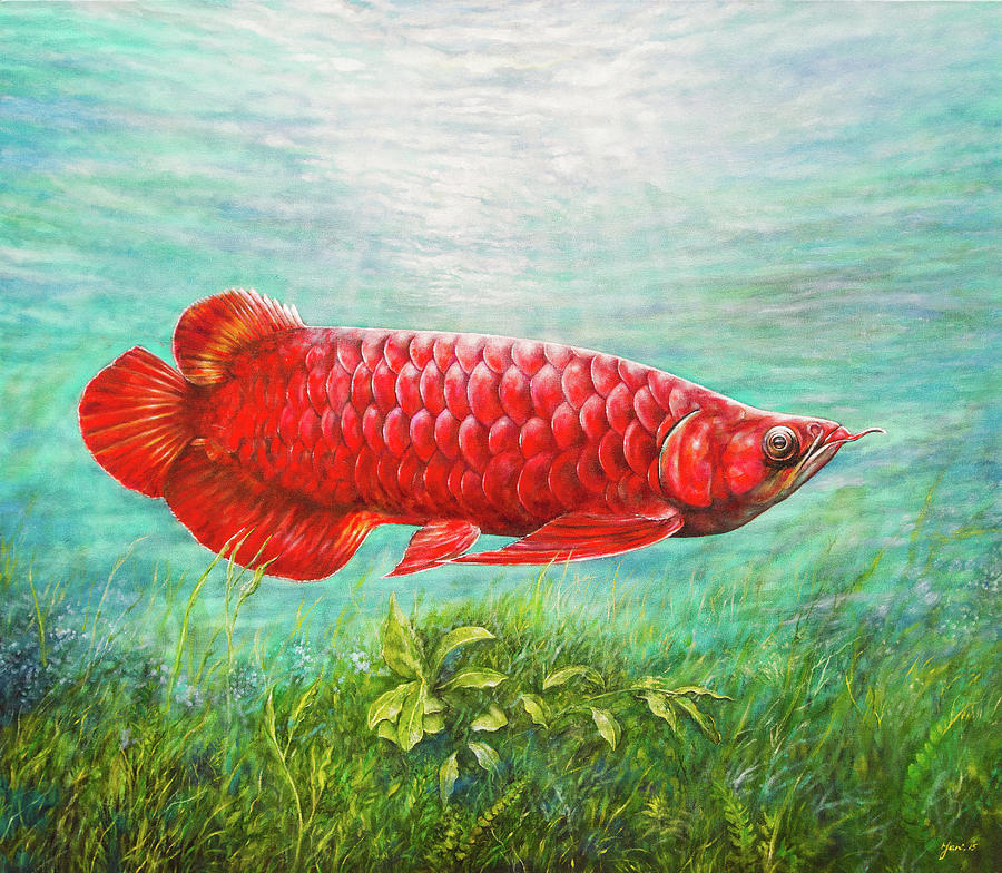 Arowana Painting by Jan Camerone - Fine Art America