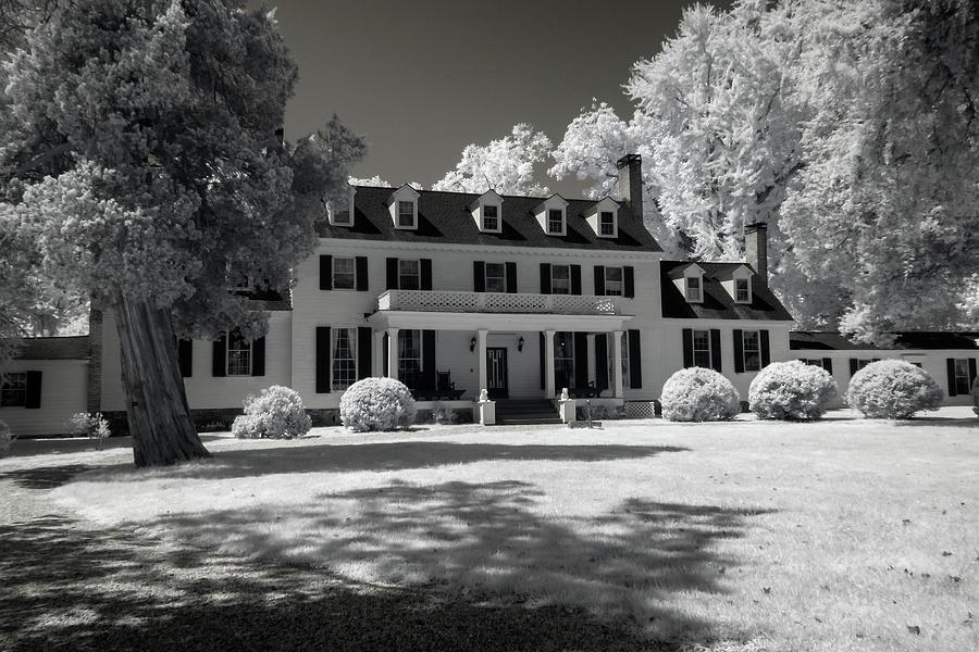 Arriving to Sherwood Forest Plantation Infrared Photograph by Liza Eckardt