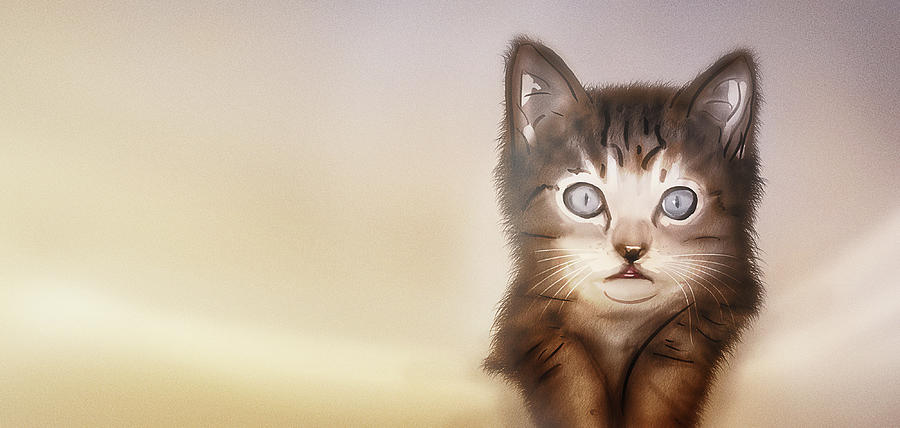 Art - Beautiful Kitten Digital Art by Matthias Zegveld