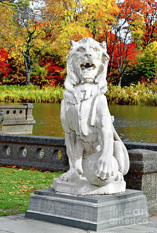 Art Branch Brook Lion In Autumn Photograph