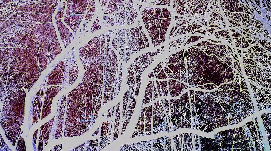 Art Branch of Dark Purple Digital Art by Jeremy Lyman