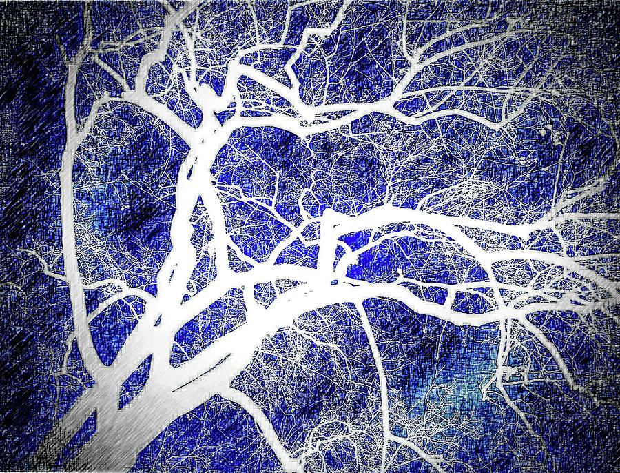 Art Branch of Indigo Blue Digital Art by Jeremy Lyman