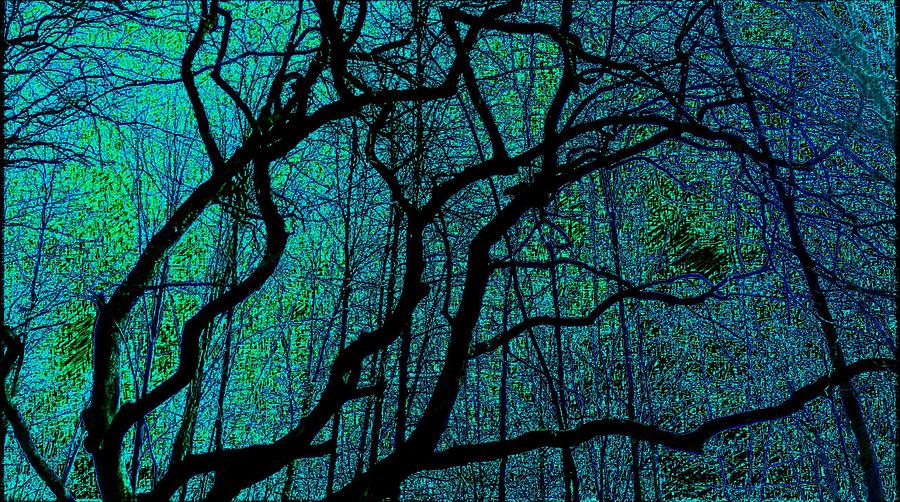 Art Branches of Greeish Blue Digital Art by Jeremy Lyman