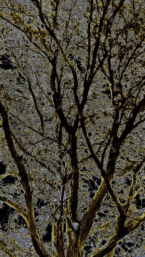 Art Branchs of Blackish Gold Digital Art by Jeremy Lyman