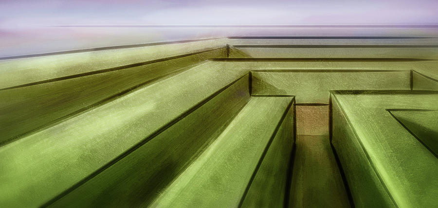 Art - Caught in a Maze Digital Art by Matthias Zegveld