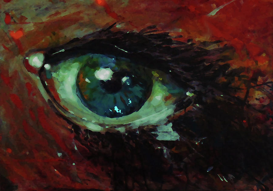Art in the eyes Painting by Marcello Cicchini