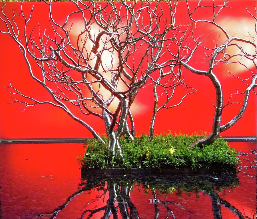 Tree Photograph - Art installation by Stephanie Moore
