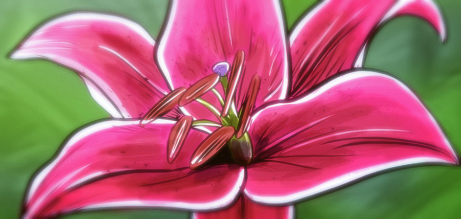 Art - Lily in the Field Digital Art by Matthias Zegveld
