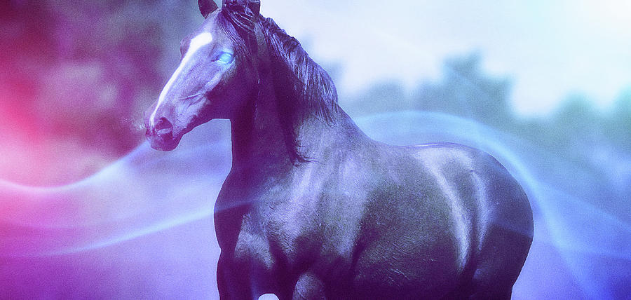 Art - Mighty Horse Digital Art by Matthias Zegveld