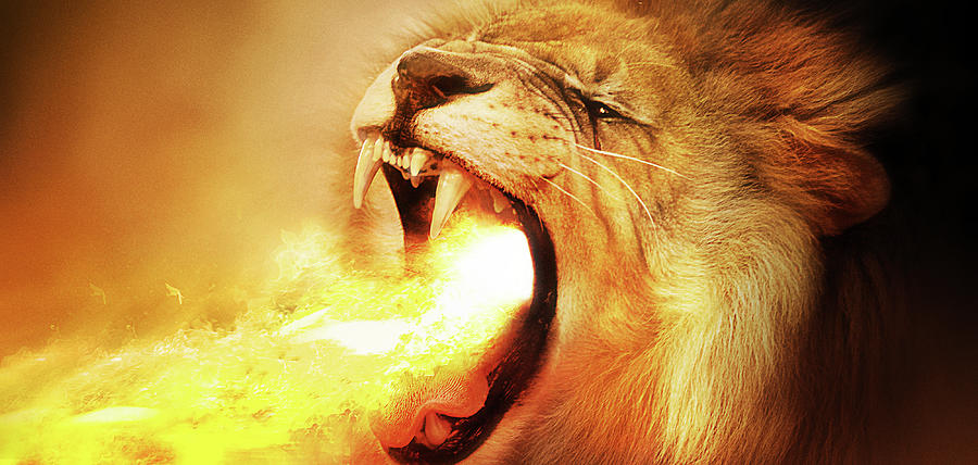 Lion Digital Art - Art - Mighty Lion of Fire by Matthias Zegveld