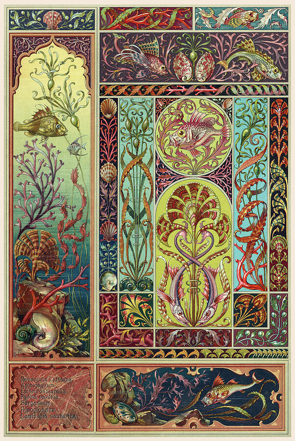 Art nouveau motifs and design elements by Anton Seder - Marine life ...