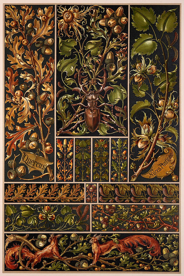 Art nouveau motifs and design elements by Anton Seder - Oak,acorn, hazelnut pattern Drawing by Anton Seder