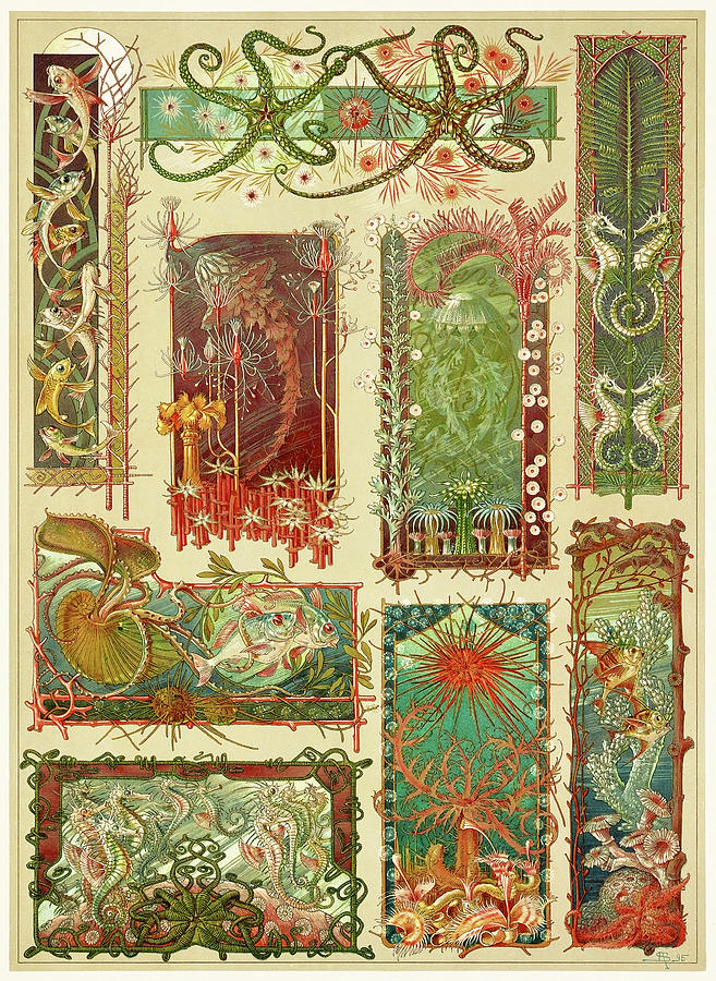 Art nouveau motifs and design elements by Anton Seder - Sea creatures Drawing by Anton Seder