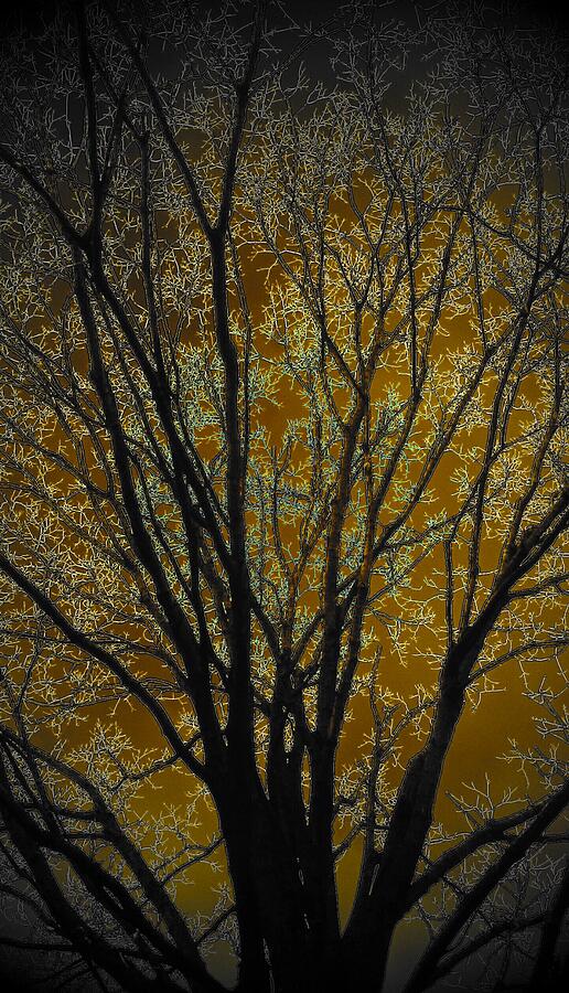 Art of a Gold Tree Digital Art by Jeremy Lyman