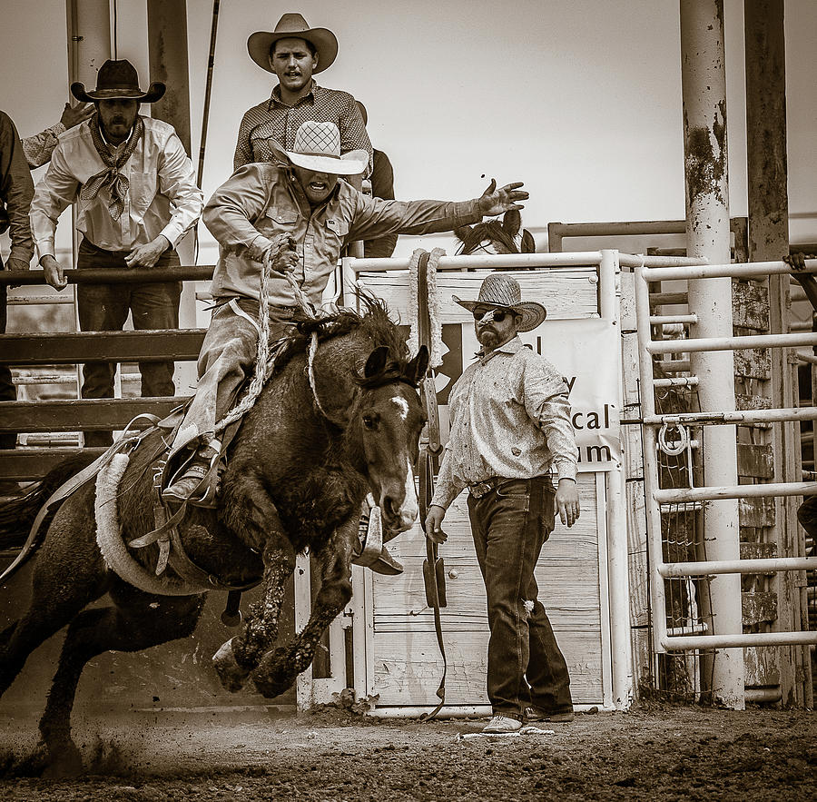 Art of Rodeo Photograph by Kelly Markus Art of Rodeo Photograph by Kelly Markus