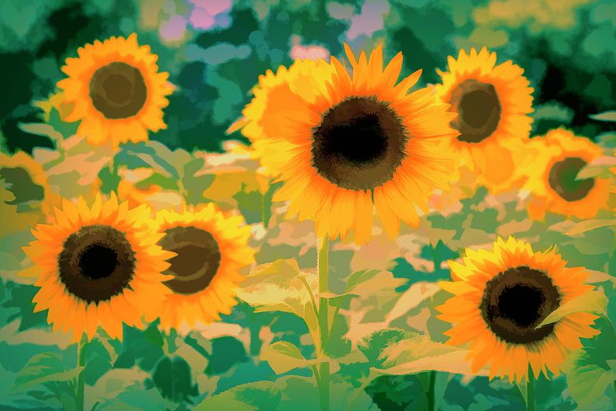 Art Of The Sunflowers Photograph