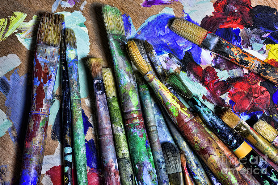 Art Paint Brushes Photograph by Paul Ward
