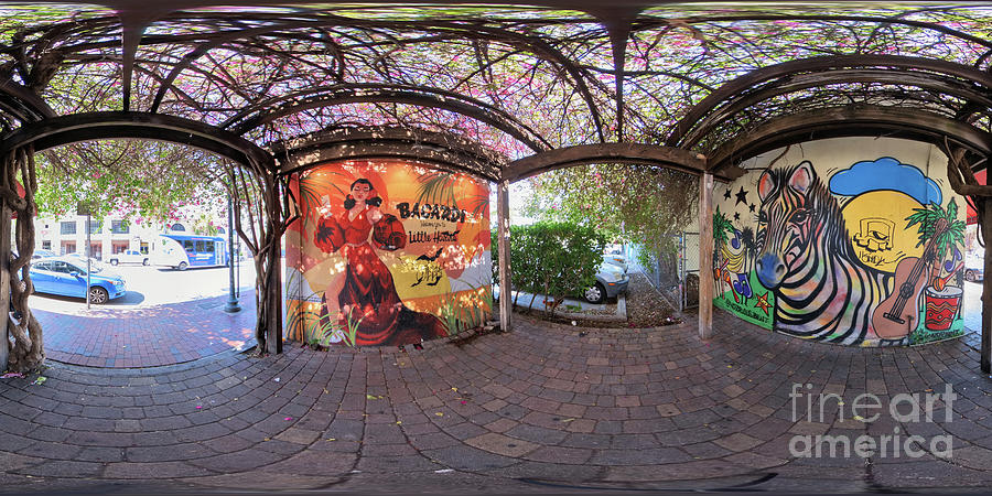 ARt painting murals 360 photo Miami Little Havana Calle Ocho 8th ...