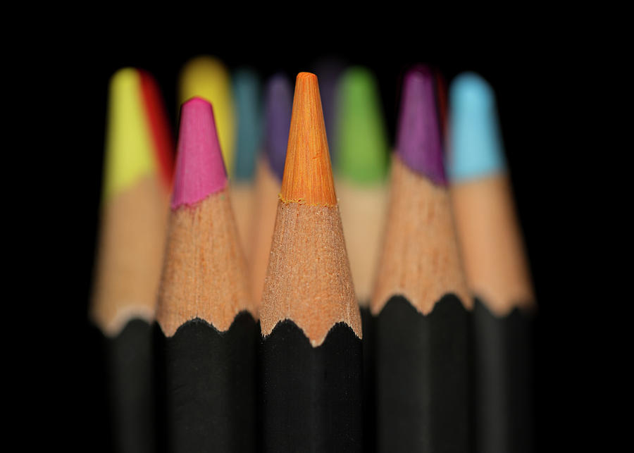 Art Pencils Photograph by Amelia Pearn