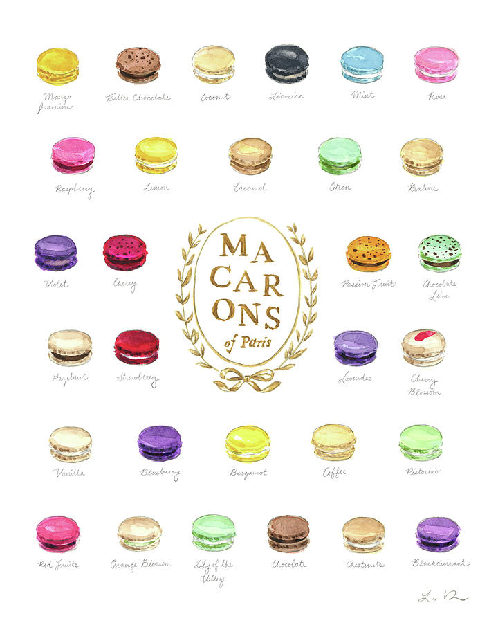 Cookie Painting - Macarons of Paris France Kitchen Illustration Macaron Flavors in English Language by Laura Row