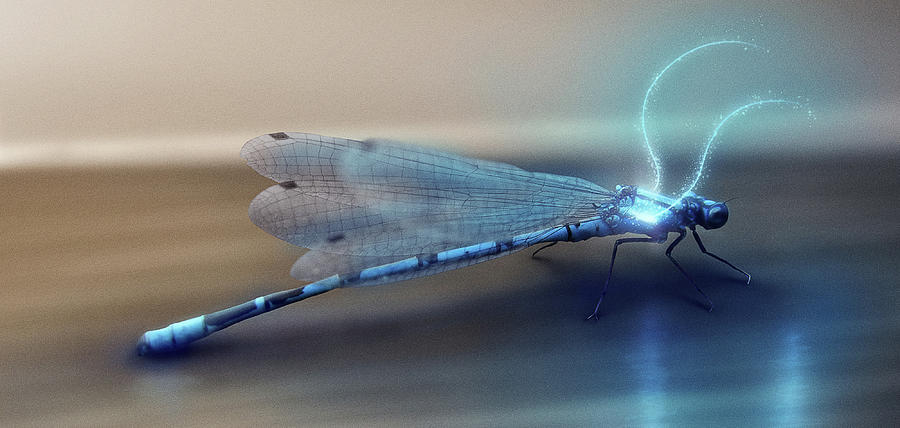 Art - Super Fly Digital Art by Matthias Zegveld