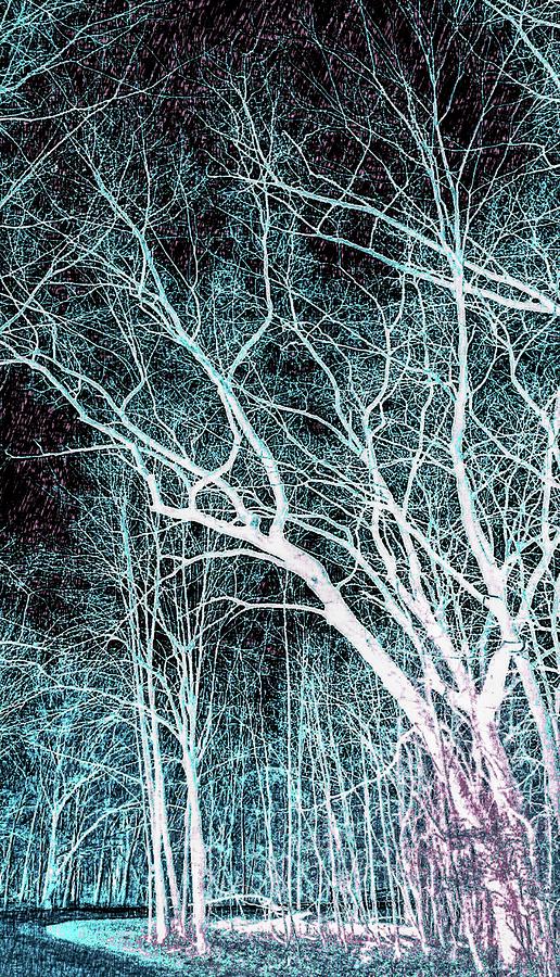 Art Trail of Blueish Green Digital Art by Jeremy Lyman