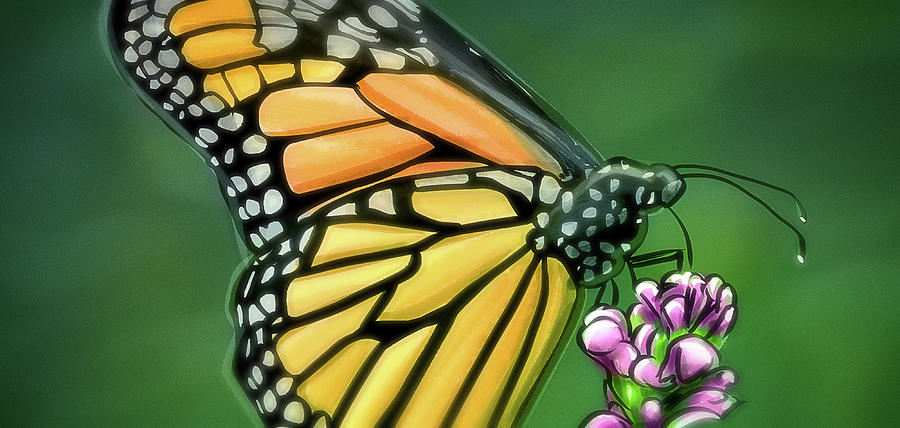 Art - Wonderful Butterfly Digital Art by Matthias Zegveld