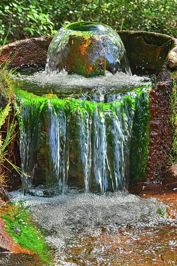 Artesian Well And Waterfall Lee State Park South Carolina Vertical Photograph by Lisa Wooten
