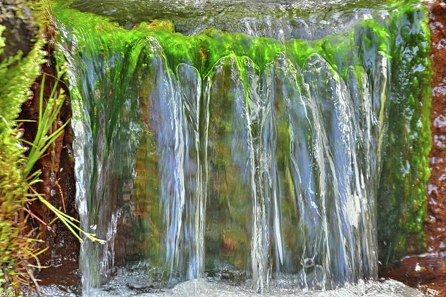 Artesian Well Waterfall Lee State Park South Carolina Photograph by Lisa Wooten