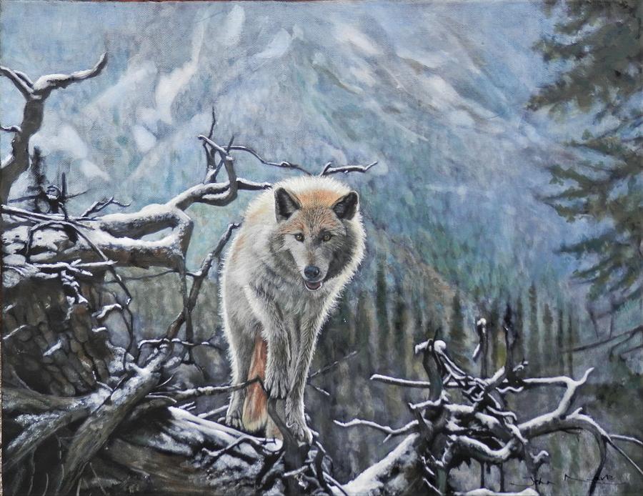 Arctic Wolf Painting by John Neeve