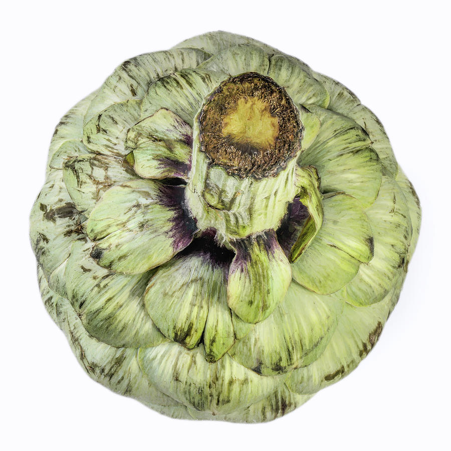 Artichoke From Above Photograph by Gary Slawsky